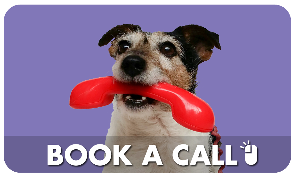 pet sitting southampton franchise opportunity call button